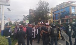 देशभरका तीन हजार कृषि पशु प्राविधिक आन्दोलनमा