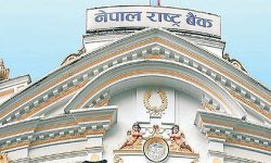 अबदेखि बाह्रै महिना न्यूनतम पुँजीकोष कायम नभएका लघुवित्तले लाभांश वितरण गर्न नपाउने