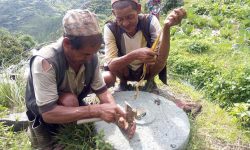 सङ्कटमा पर्दै पानीघट्ट बनाउने व्यवसाय