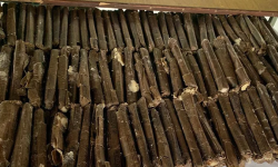 झापामा प्रहरीको विशेष अपरेशन,विप्लव समुहको हतियार भण्डारमा छापा