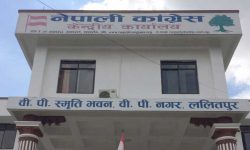 काङ्ग्रेसमा ११ केन्द्रीय सदस्य थप हुने