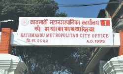 चाडपर्वका क्रममा महानगरले बजार अनुगमन गर्ने