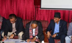 दस अर्ब लगानी भित्र्याउन एनआरएनएको समिति