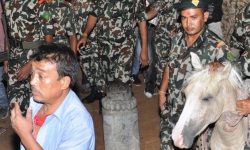 खड्ग जात्रासहित सेतो घोडाजात्रा सम्पन्न