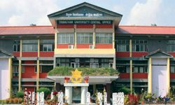 त्रिभुवन विश्वविद्यालयको लोगो दुरुपयोग गरी निजीमा पढाउँछन् प्राध्यापकहरु