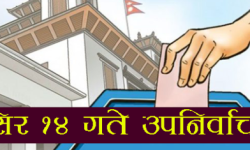 चुनावी गतिविधि बढ्यो