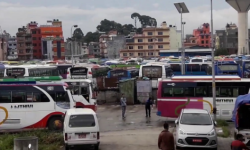 दसैं मनाउन डेढ सातामा १० लाख सर्वसाधारण बाहिरिए