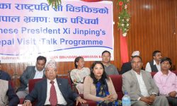 सीको भ्रमणलाई भौतिक लाभसँग मात्रै जोडेर हेर्न हुँदैन : नेपाल