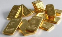 वर्षमा १४ हजारले बढ्यो सुन