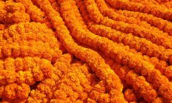 तिहारमा २५ लाख मालाको माग