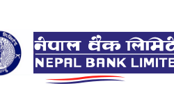 नेपाल बैंकले २३ बर्षपछि यसरी गर्दैछ लाभांश वितरण
