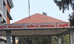 ३१ महत्वपूर्ण व्यावसायिक व्यक्ति/संस्था घोषणा गरिँदै