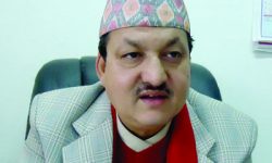 सचिव भन्छन् वैशाखसम्म विषादी रहित तरकारी खान पाईन्छ