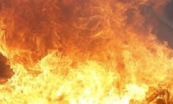 भाेजपुरकाे दुई वडा कार्यालयमा आगजनी