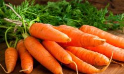 गाँजर खानुका यस्ता छन फाइदा