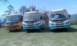 चौरजहारीमा नगरबस सञ्चालनमा