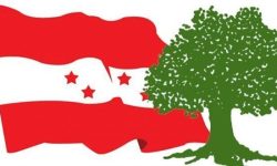 भक्तपुर–१, तनहुँ–२, बागलुङ–१ र २ (१) मा कांग्रेसका उम्मेद्वार विजयी