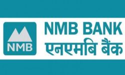एनएमबी बैंकले शेयरधनीलाई ३५ प्रतिशत लाभांश दिदै