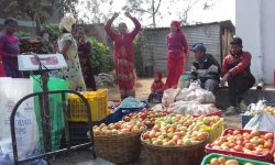 गोल भेडा बिक्री गर्दै महिला