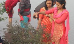 हरिबोधिनी एकादशी मा कैद गरेका केही तस्बिर