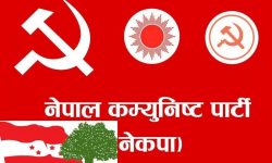 काङ्ग्रेस वडाध्यक्ष नेकपा प्रवेश