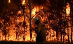अष्ट्रेलियामा भिषण आगलागी, दमकल सहित १९ अग्नि नियन्त्रक घाईते ३ जनाको मृत्यु