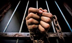 जनावरका छाला हड्डी पोलेर प्रदूषित गराउनेलाई यस्तो कारवाही गरिने