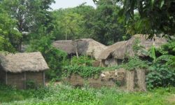 प्रदेश नं २ मा ४६० हेक्टर जग्गा अतिक्रमण