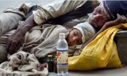 बेसहारा सडक मानवमुक्त नगर अभियान