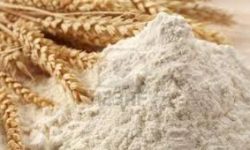 म्याद नाघेको मैदा नष्ट