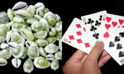 साढे ३ लाखसहित १० जुवाडे पक्राउ