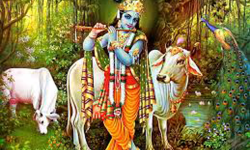 आज बुधबार कृष्ण भगवानको आराधना गरी मन शान्त राख्नुहोस । आजको राशिफल ।