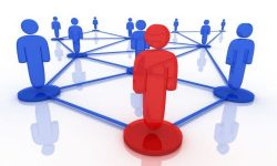 नेटवर्किङ व्यवसायको नाममा ठगी बढ्दो, चार जना पक्राउ