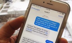 बैंकको रकम जोगाउन जोडिहाल्नुस् एसएमएस सेवा