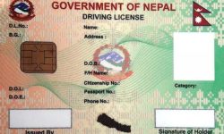 ‘स्मार्ट’ चालक अनुमतिपत्रमा रहेको ढिलाइ हट्ने