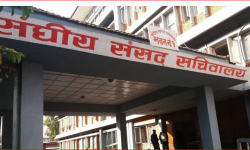 नयाँ सभामुख नियुक्त नहुँदा अड्किए विधेयक