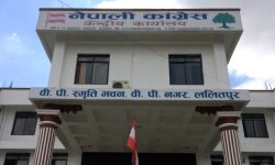 कांग्रेस केन्द्रीय कार्यसमितिमा नयाँ ११ नेता मनोनीत, हेर्नुहोस सूचीसहित !