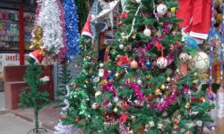 क्रिसमस डे सामग्री