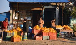 ग्राहकको पर्खाइमा जुनार व्यवसायी ( फाेटाे )