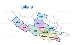 एसईईः प्रदेश ५ सरकारले नतिजा सुधार गर्न गणित र विज्ञानको विषेश कक्षा सञ्चालन गर्दै