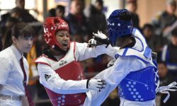 साग : भारतलाई हराउँदै तेक्वान्दोकी संगीताले नेपालका नाममा थपिन् अर्को स्वर्ण