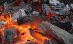 न्यानोको लागि कोइला बालेर सुतेका आमा र दुई महिने छोराको मृत्यु