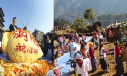 आज उधौली, धान्य र योमरी पूर्णिमा  मनाइँदै