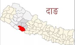 अशक्तहरूकाे घरमै पुगेर सामाजिक सुरक्षा भत्ता बितरण