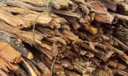 मानिसलाई चिसोबाट बचाउन प्रहरीद्वारा दाउरा वितरण