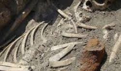 दुई मानव कङ्काल फेला