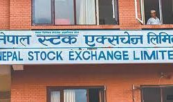 नेप्सेमा २ कम्पनीको बोनस शेयरको मूल्य समायोजन