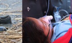 आफ्नै आँखा अगाडि छोरीलाई  ट्रकले किचेपछि….