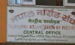 नेपाल नर्सिङ संघको निर्वाचन आज हुँदै