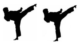 नवौँ अन्तरराष्ट्रिय कराते प्रतियोगितामा गोजुरीयोबाट नेपालको प्रतिनिधित्व